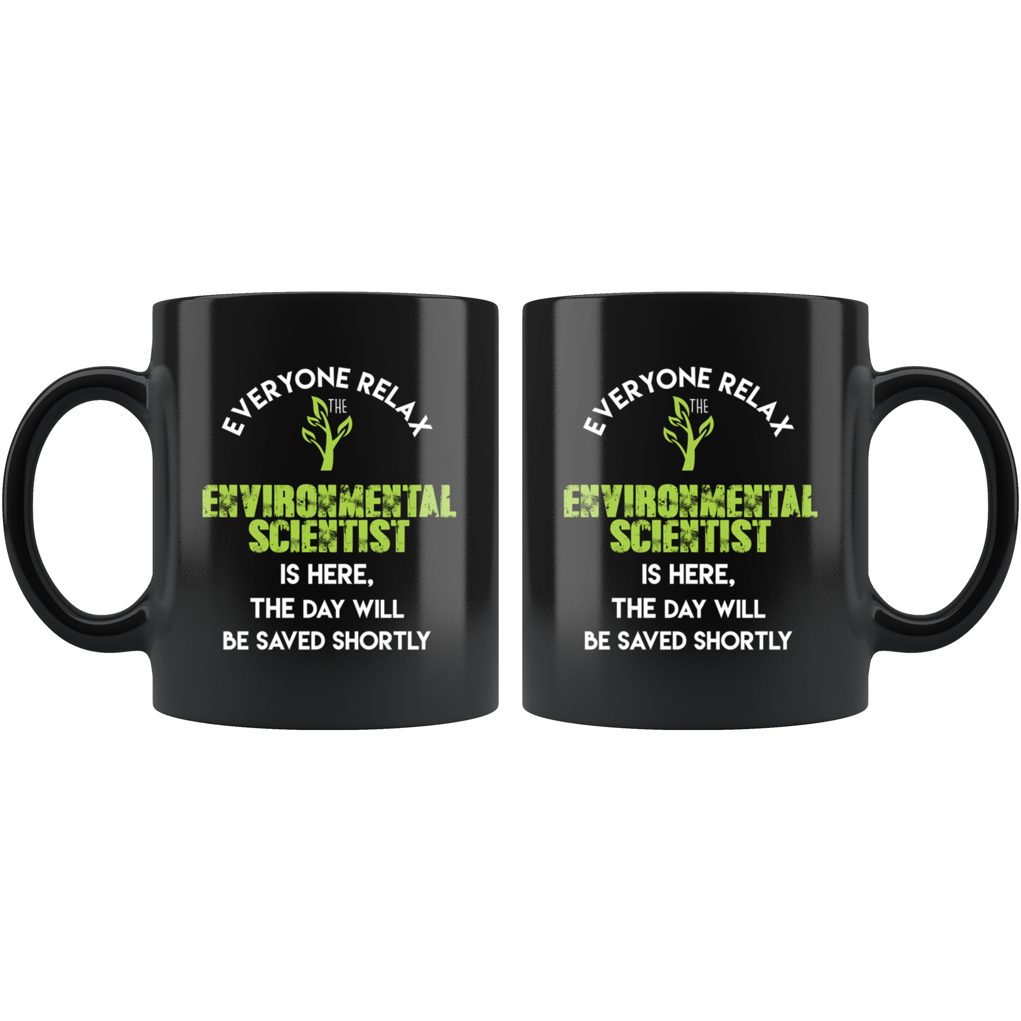 Environmental Scientist