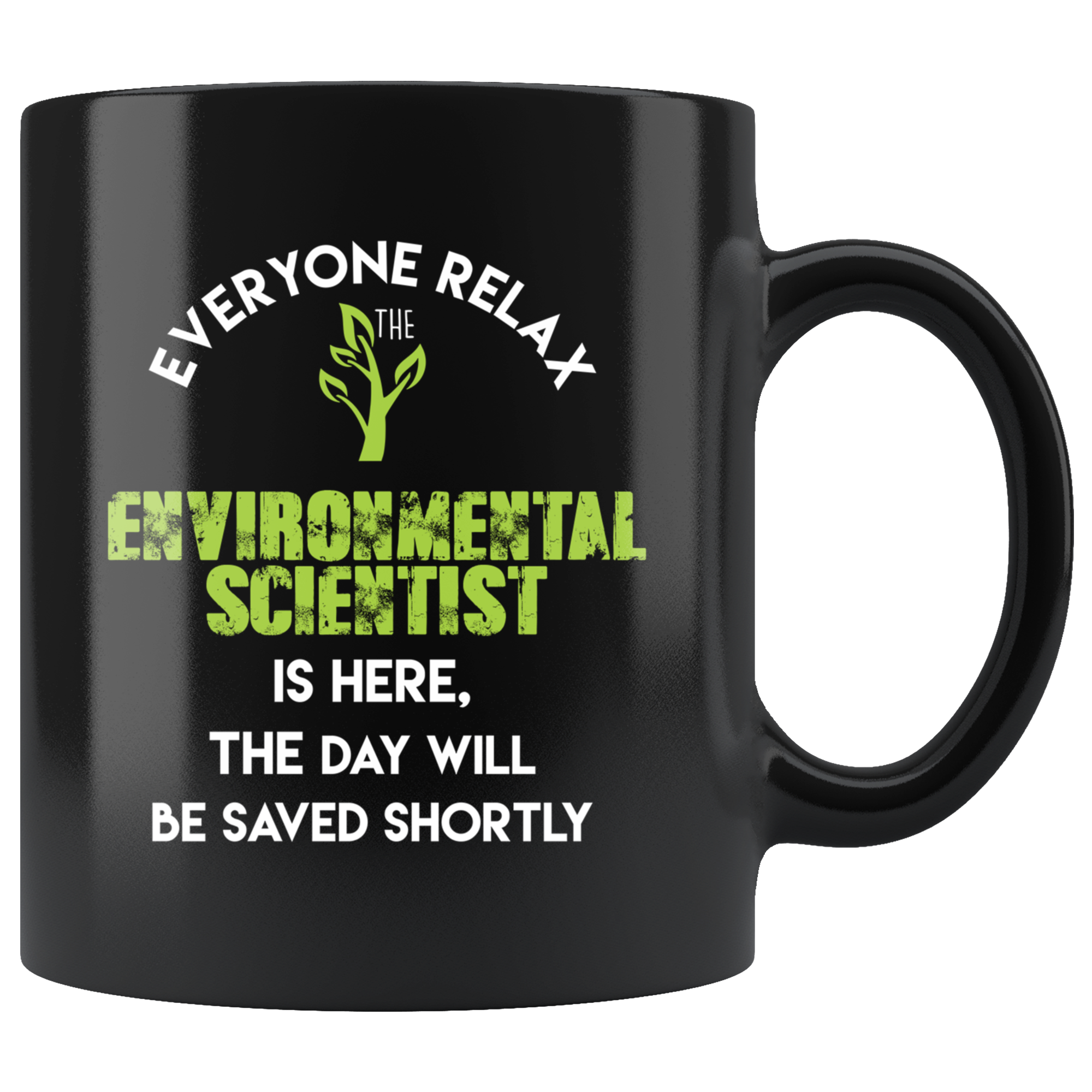 Environmental Scientist