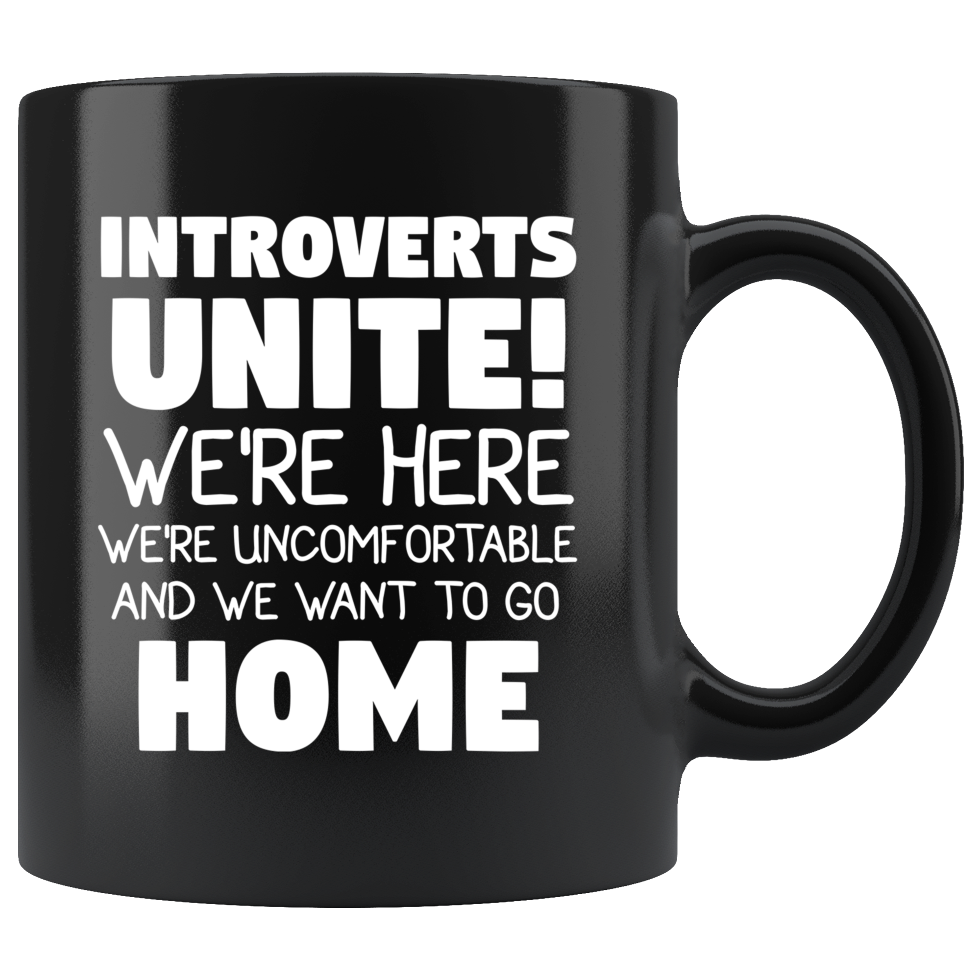 Introvets home