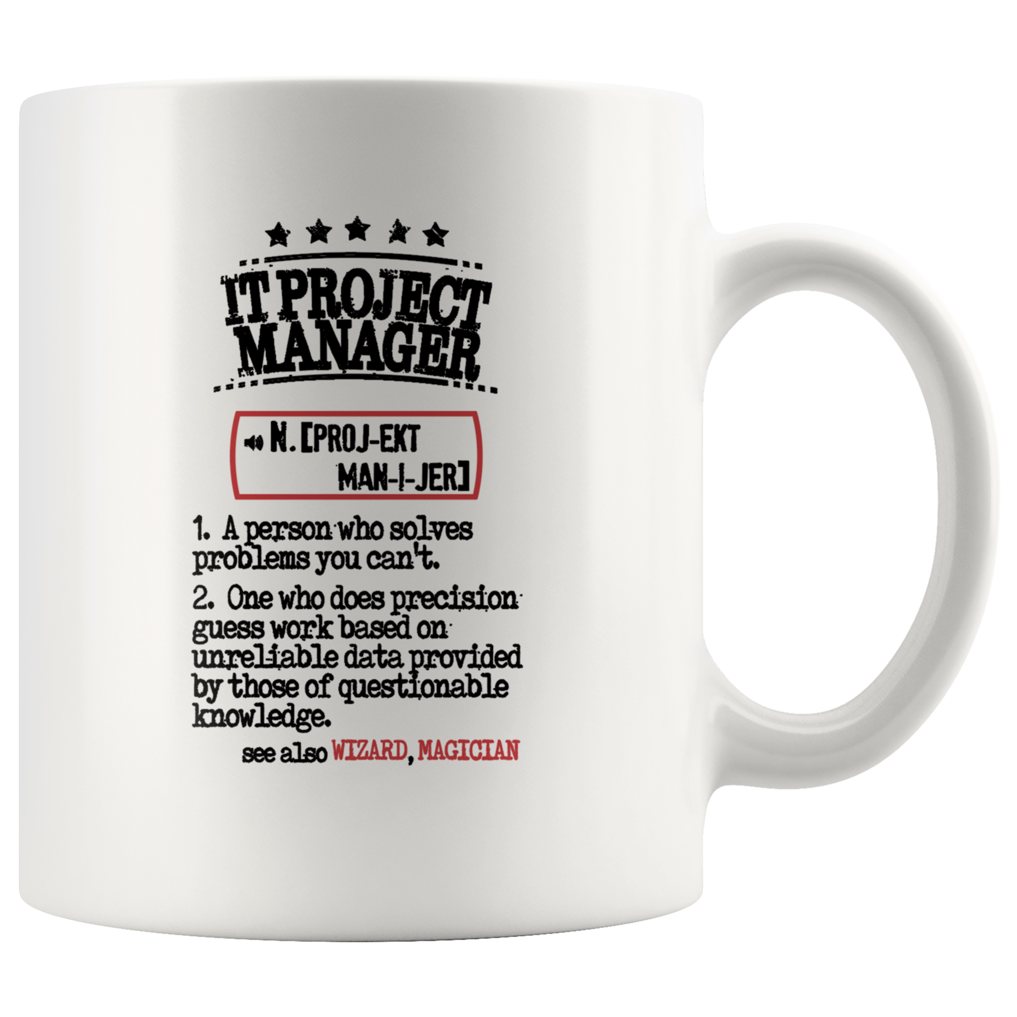 IT Project Manager