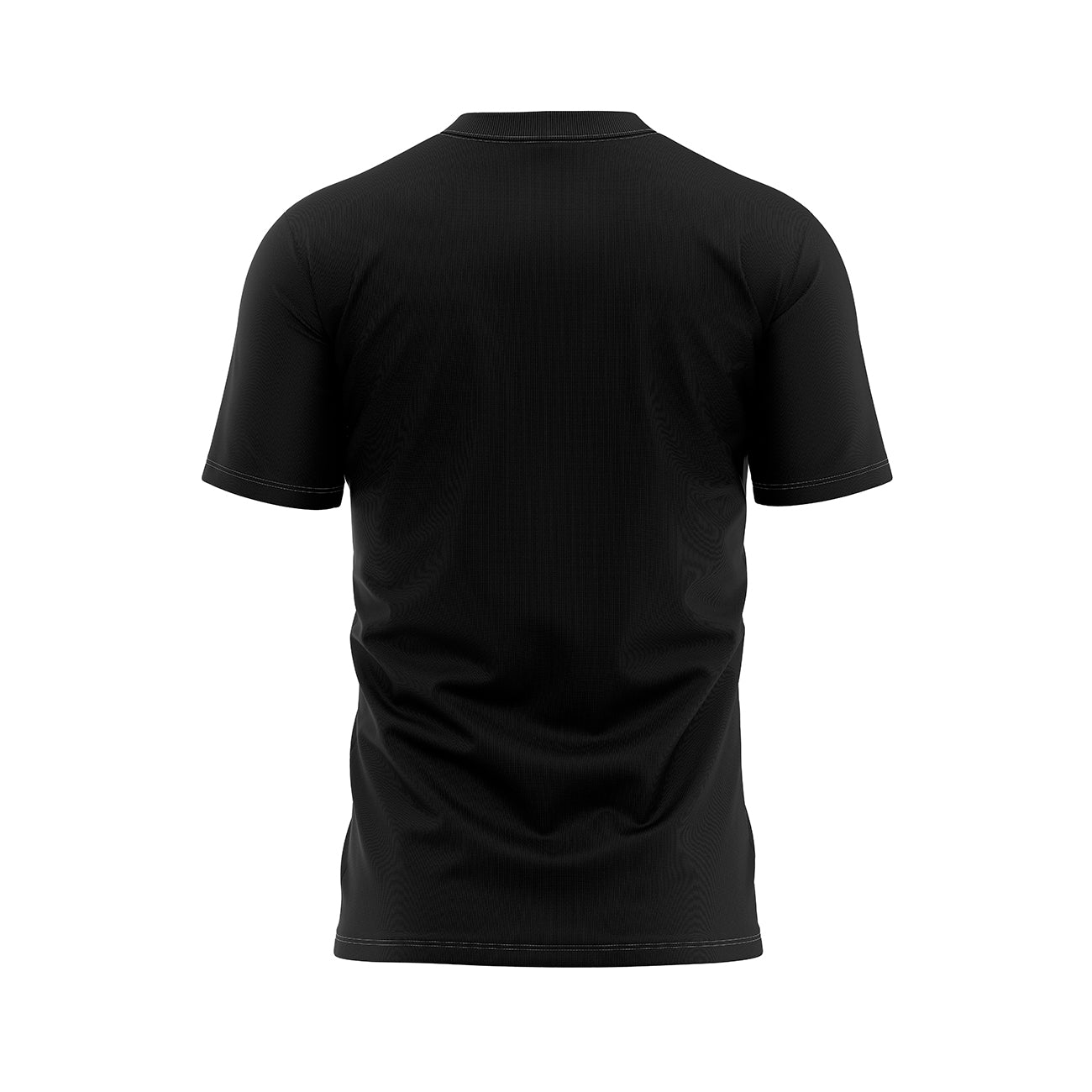 VikingWarriar107BACK.jpg