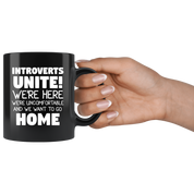 Introvets home