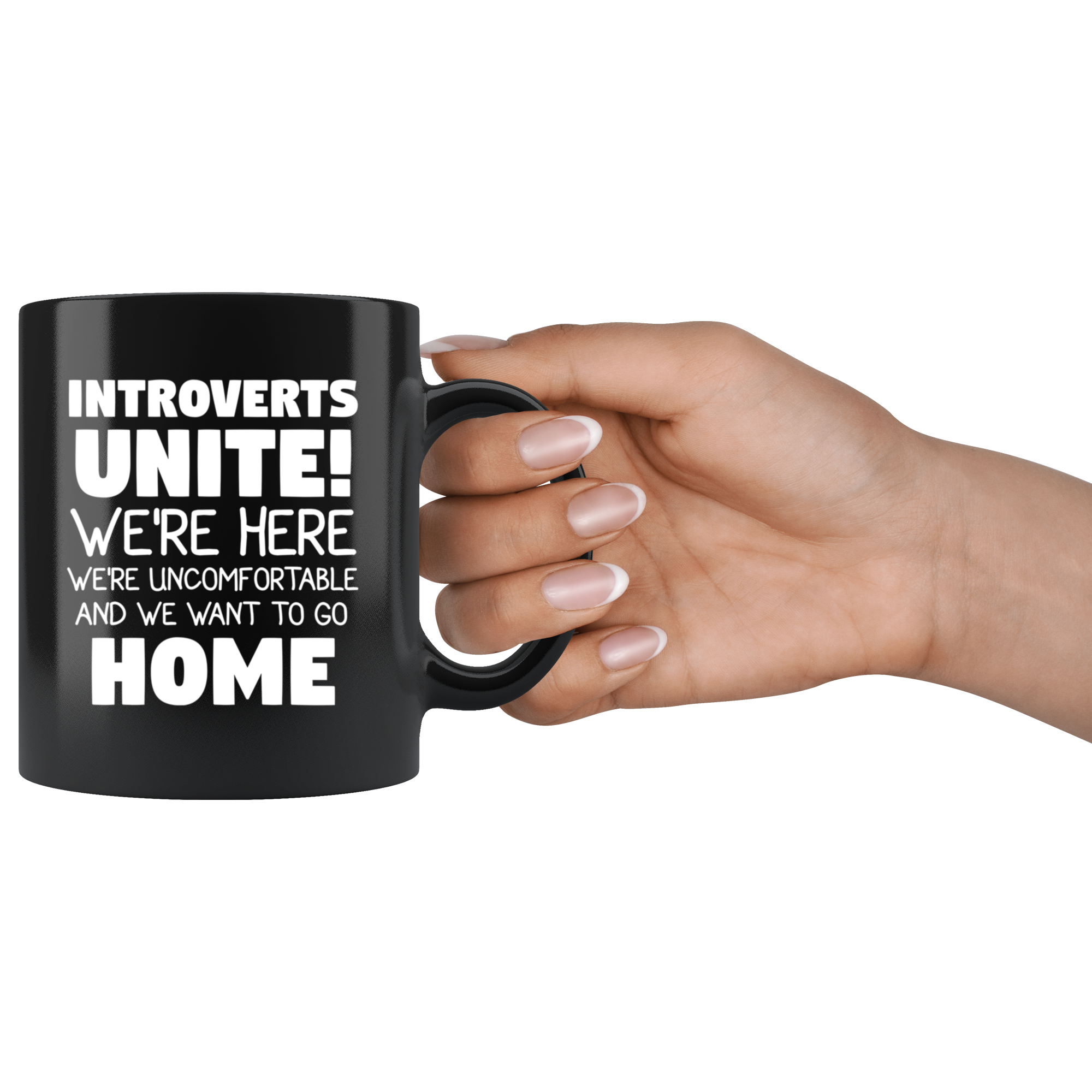 Introvets home