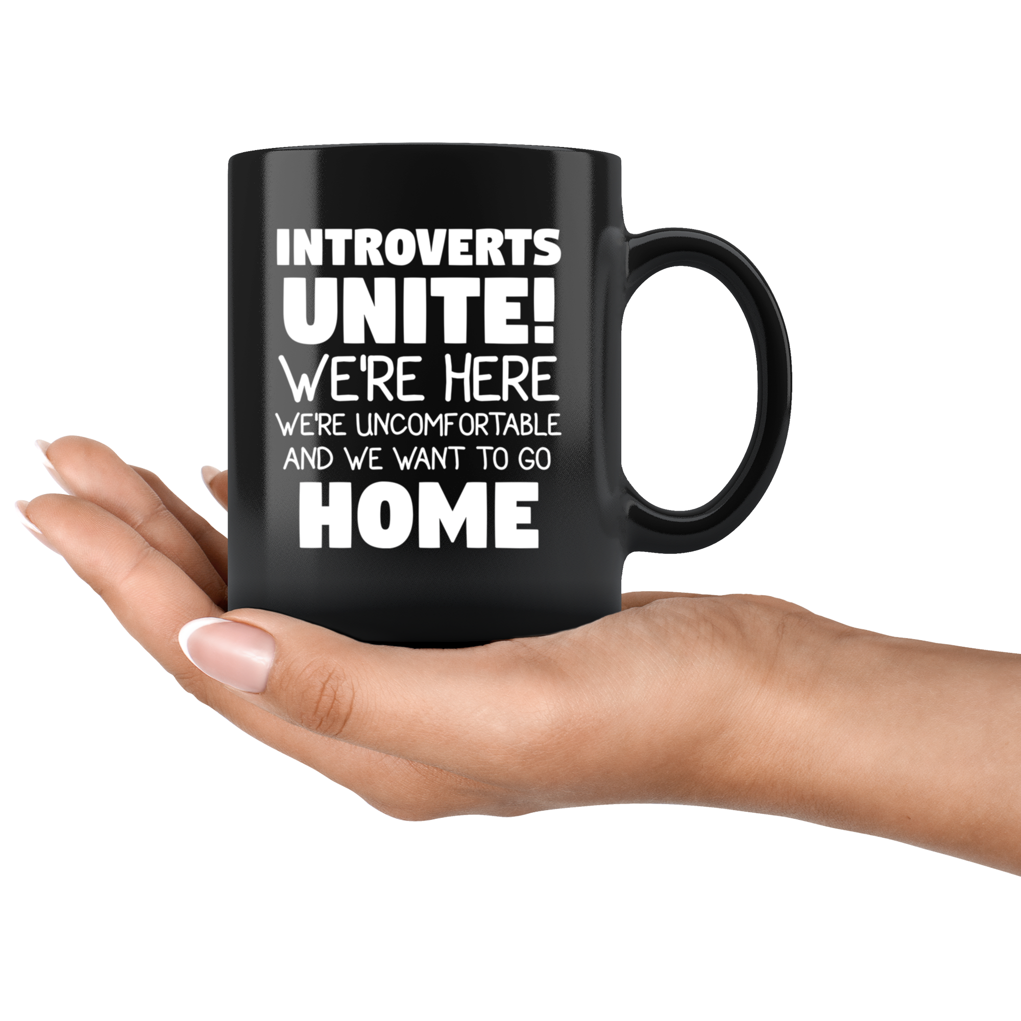 Introvets home