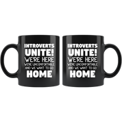 Introvets home