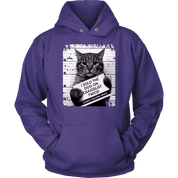 Cat I sold the dog on craigslist twice! Stripey Malone 48905 Gift, Unisex Hoodie