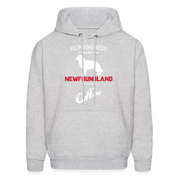 All this Dad needs is his Newfoundland and a cup of coffee Men's Hoodie - ash 